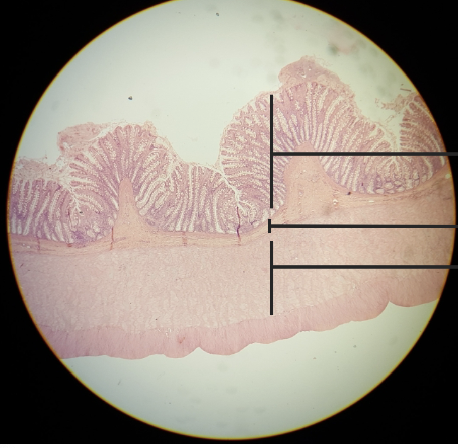 <p>what is this?&nbsp;</p>