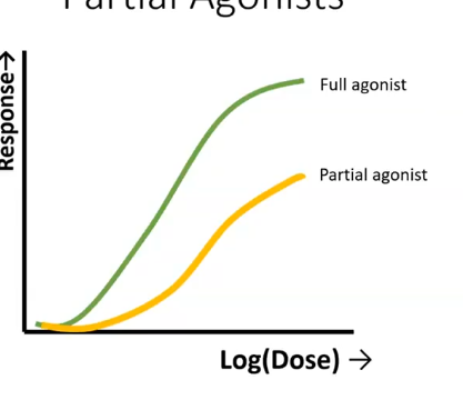 <p>partial agonist </p>