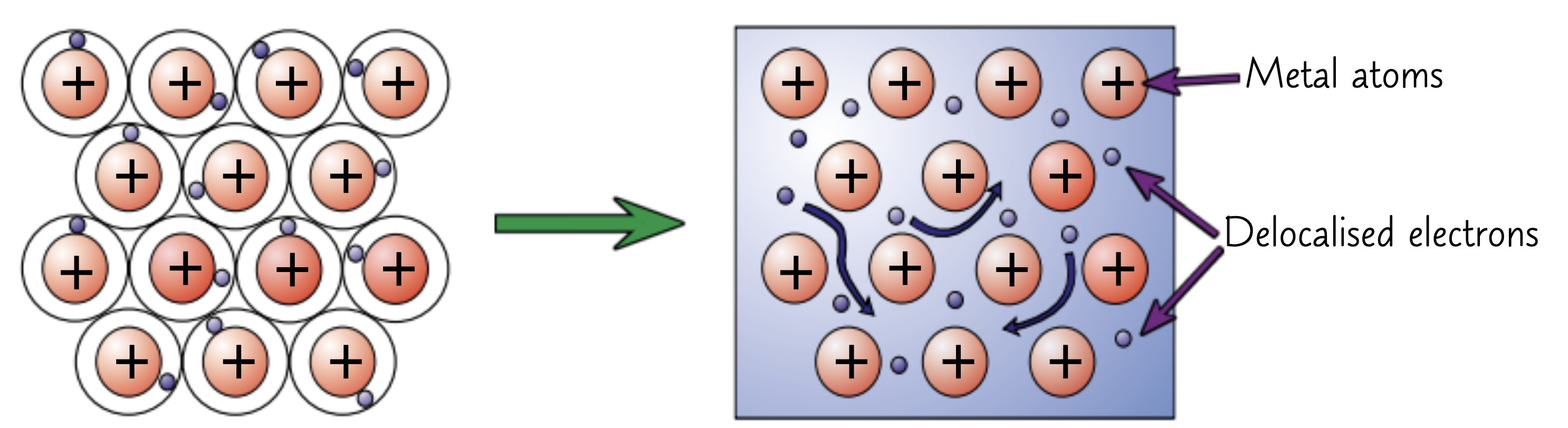 <ul><li><p>metallic bonding requires delocalised electrons</p></li><li><p>The electrons in the outer shells of metal atoms are delocalised</p></li><li><p>Strong electrostatic attraction between the positive ions and shared negative electrons</p></li><li><p>These forces of attraction hold atoms together in a regular structure</p></li><li><p>Metallic bonds are very strong</p></li></ul><p></p>