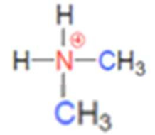 <p>what class of ammonium ion is this</p>