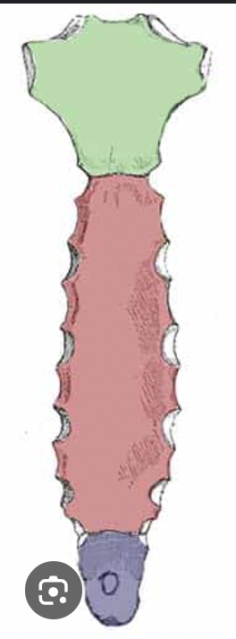 <p>_______ + ________ + _______</p>