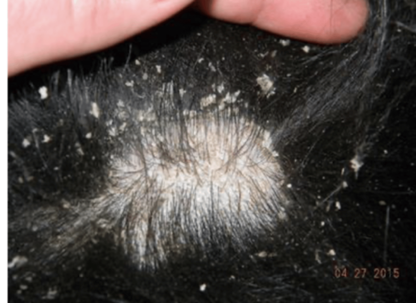 <p>what is this?</p>