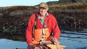 <p>Effects of predation on populations and communities (study with starfish and study with lizards on that little island)</p>