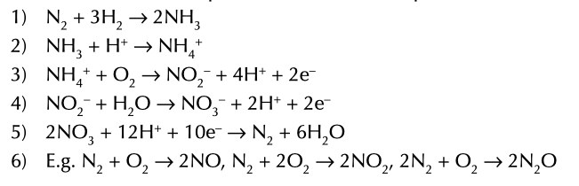 <p>involved in nitrogen cycle</p>