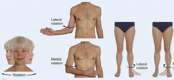 <p>Involves turning a bone around its own long axis</p><p>Common at hip and shoulder joint</p><p>Examples: medial and lateral rotation of thigh</p>