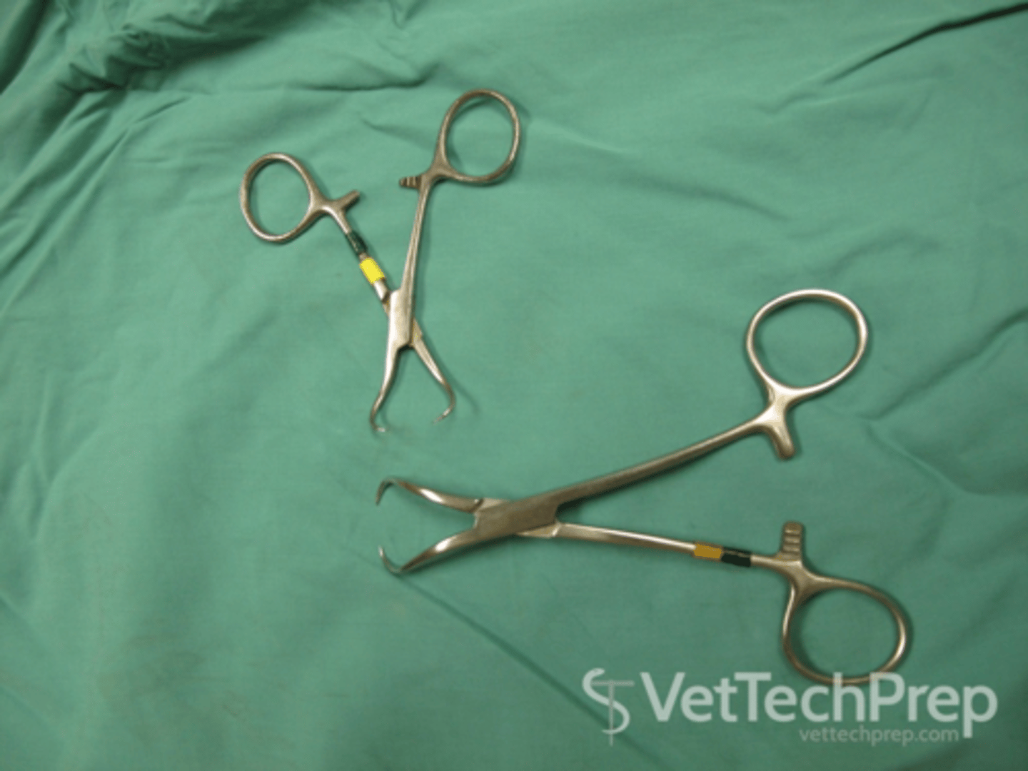 <p>Used to clamp surgical towels to the patient</p>