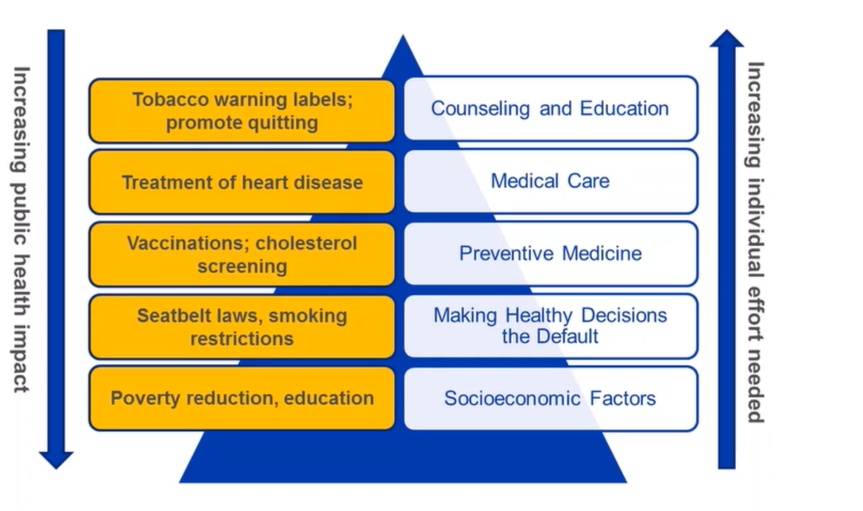 <p>address multiple causative factors for disease or health disparities </p><p>target one or more SHD</p><ul><li><p>information</p></li><li><p>politics</p></li><li><p>programs</p></li></ul><p></p>