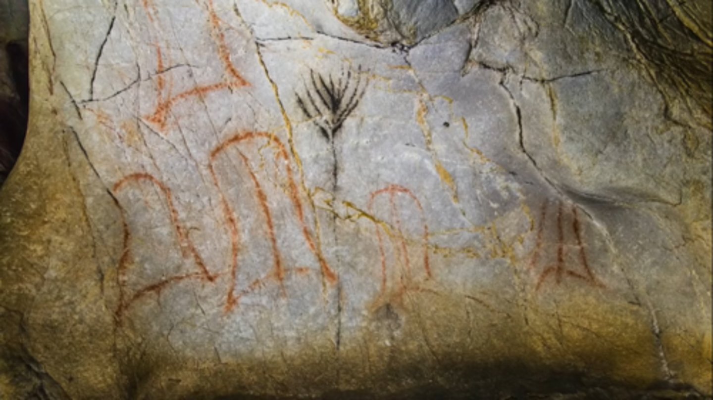 <p>Located in Spain, the namesake object could represent or symbolize a word or simply just represent a tree</p>