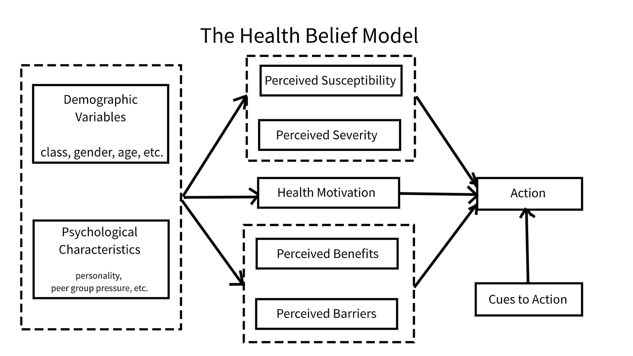 <ul><li><p>what people perceive to be true about themselves in relation to their health </p></li><li><p>modifying factors: demographic &amp; sociopsychological</p></li><li><p>three components: </p><ul><li><p>perceived <strong>susceptibility</strong> to a disease</p></li><li><p>perceived <strong>seriousness </strong>of a disease</p></li><li><p>perceived <strong>benefits </strong>of <strong>action </strong></p></li></ul></li></ul><p></p>