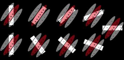 <p>orientation tuning of a “simple cell” in V1.</p><ul><li><p>we need an elongated receptive field.</p></li></ul><p></p>