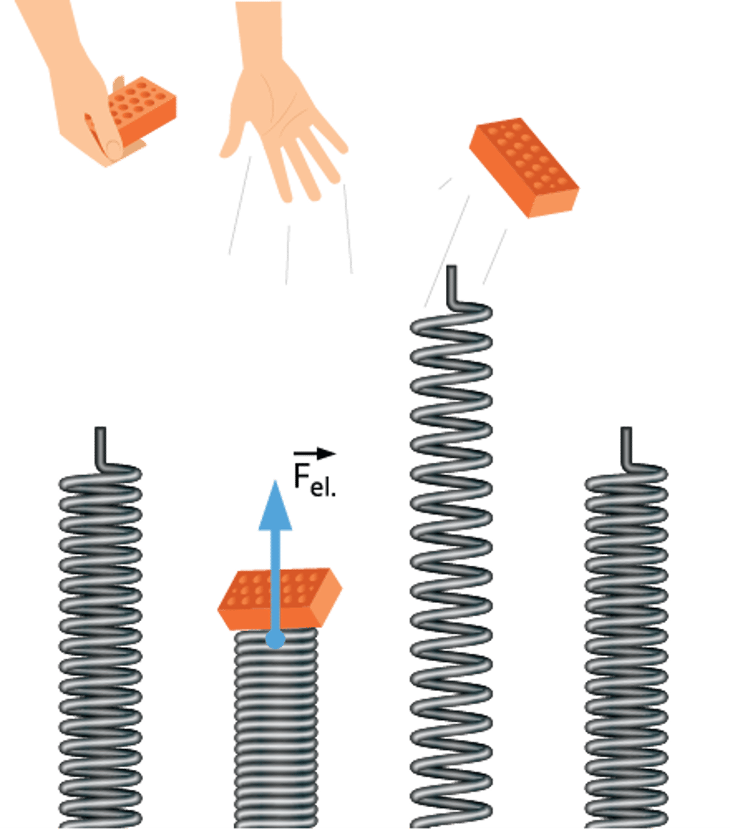<p>Ķermenis deformējas <strong>elastīgi</strong>, ja pēc ārējā spēka izzušanas pilnīgi atjaunojas ķermeņa sākotnēji izmēri, forma un tilpums.</p>
