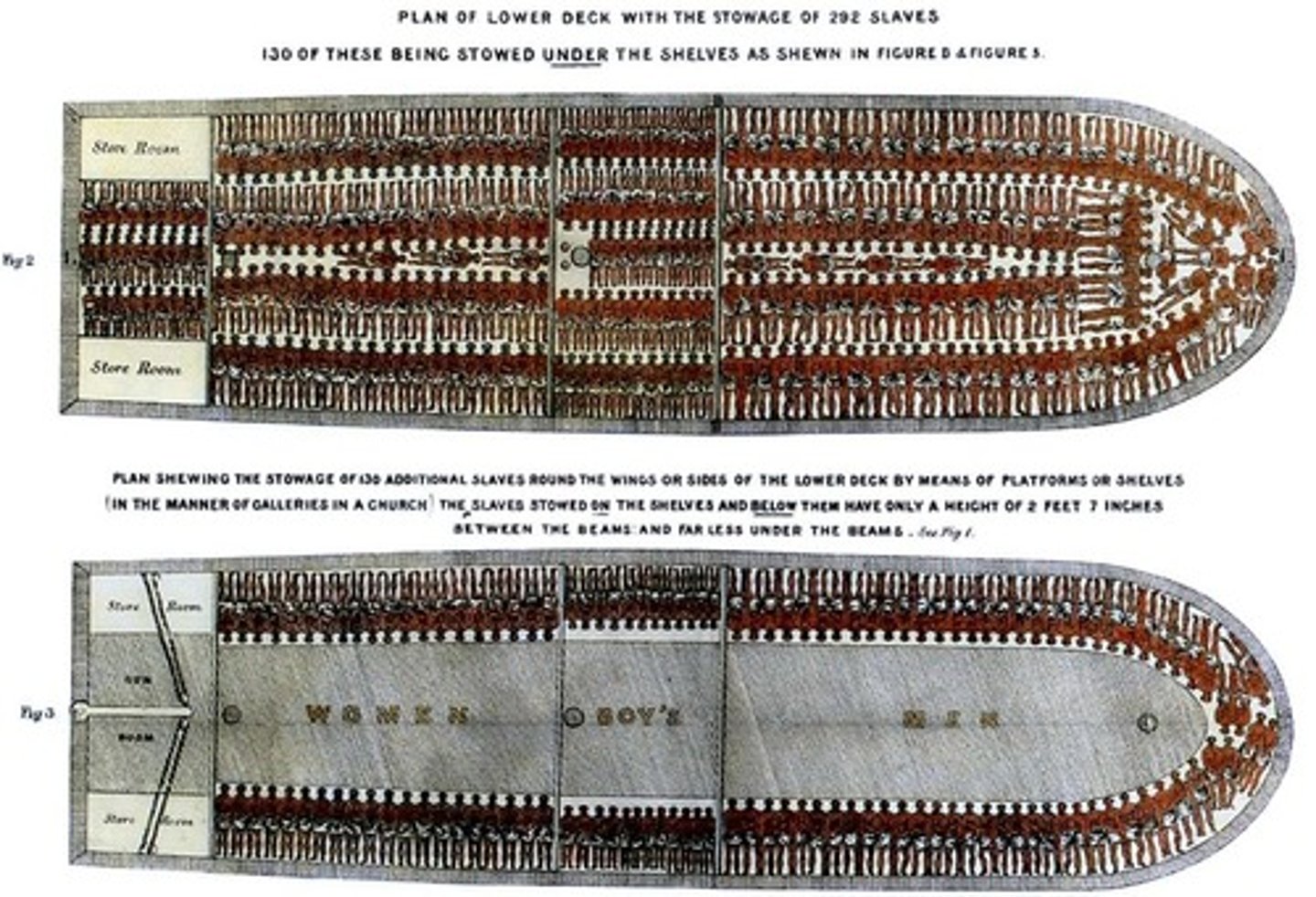 <p>The forced transport of 10 to 12 million enslaved Africans to the Americas from the 16th to the 19th century.</p>
