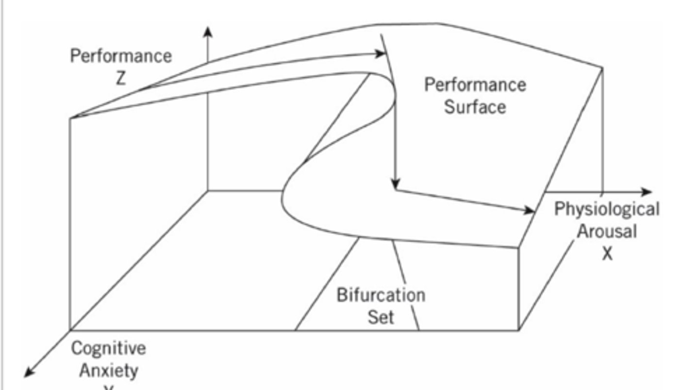 <p>Performance drops after peak arousal levels.</p>