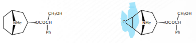 <p>[Alkaloids Compounds] pyrrolidine alkaloids (tropane alkaloids) have a long association with witchcraft and soothsaying</p>