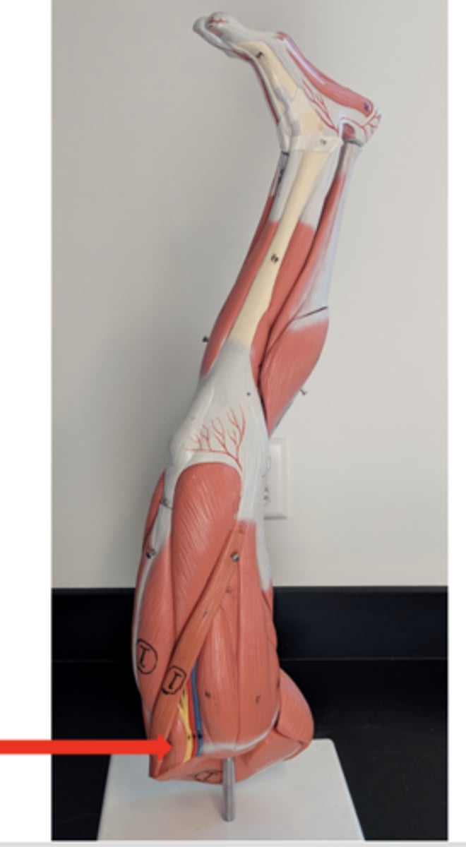 <p>what is this?</p>