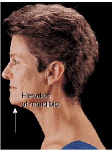 <p>Moving a part upwards</p>