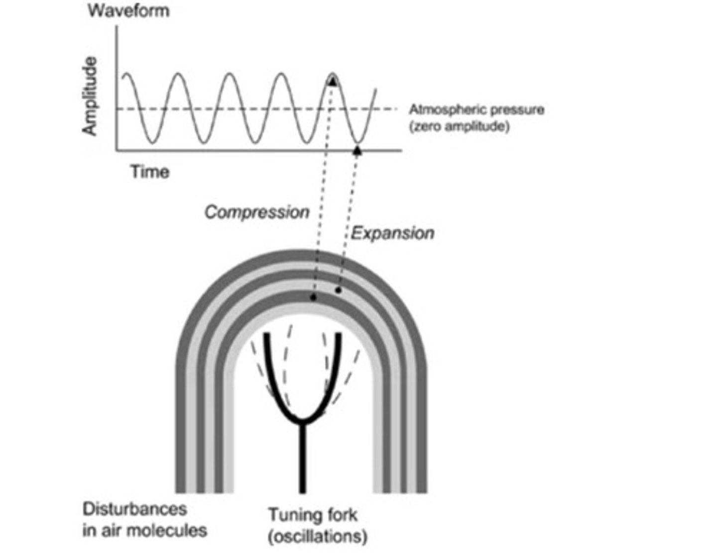 <p>They cluster together leading to compression and then spread apart leading to expansion.</p>