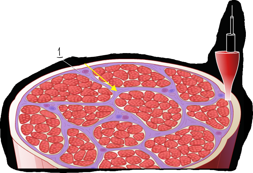What is the highlighted area? 