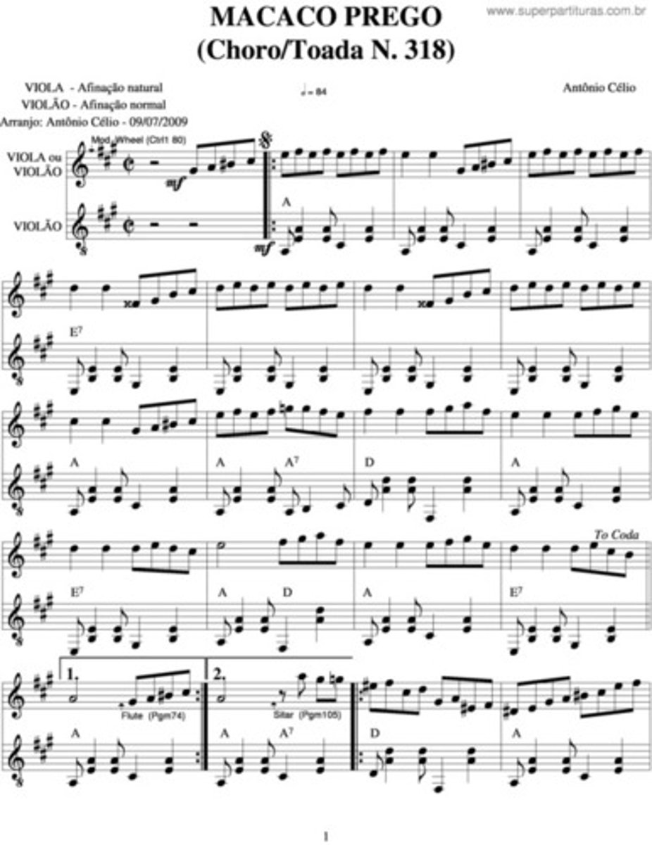 <p>type of call and response used in salsa music</p>