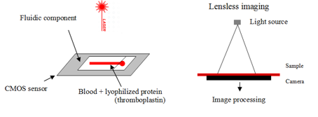 <ul><li><p>Complementary metal-oxide semiconductor (CMOS) sensor where the fluidic component is put </p></li><li><p>The sample fills the channel by capillarity</p></li><li><p>capillary contains clotting agent: thromboplastin, to initiate clotting cascade</p></li><li><p>A laser source illuminates the blood sample and RBC diffuse light. </p></li><li><p>A moving diffraction picture is formed on the CMOS sensor called speckle diffraction. </p></li><li><p>When the blood clots, the movement stops</p></li><li><p>clottiing only occurs if all the factors produced by the liver are present</p></li><li><p>Clotting is then detected.</p></li></ul><p></p>