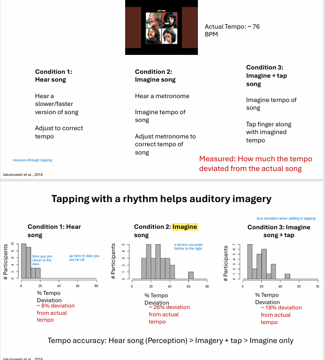 <ul><li><p>motor system </p><ul><li><p>move a lot to music, so maybe when we move AND imagine rhythms we get better at imagining the timing of rhythms - can connect it more because of the movement </p></li></ul></li></ul><p></p><p></p>