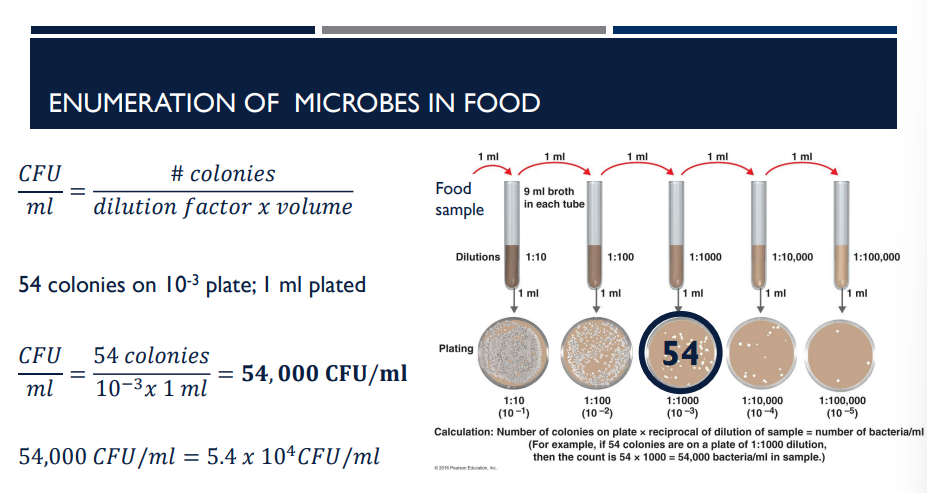 <p>What is the equation for CFU/ml?</p>