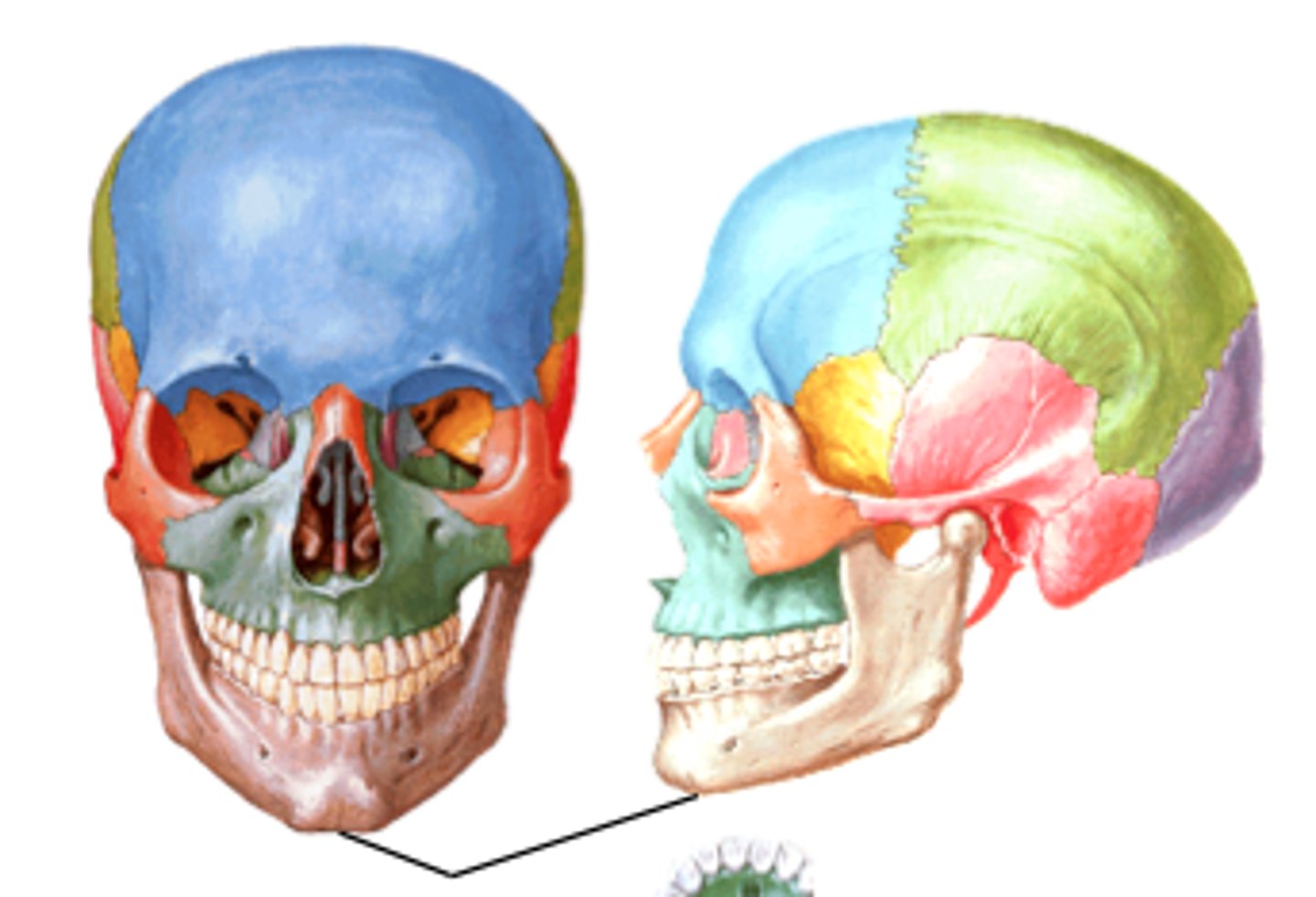 knowt flashcard image