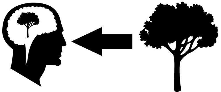 <p>The view that the external world exists independently from the mind (<strong>realism</strong>) and we perceive the external world <strong>directly</strong></p><ul><li><p>Mind <em>Independent</em></p></li><li><p><em>Direct</em> Perception Method</p></li><li><p>Problems: Illusion, Hallucination, Perceptual variation, Timelag</p></li></ul>