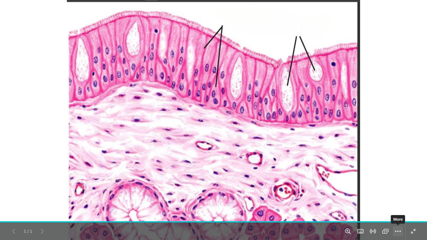 <p>identify </p><p>mention one site</p>