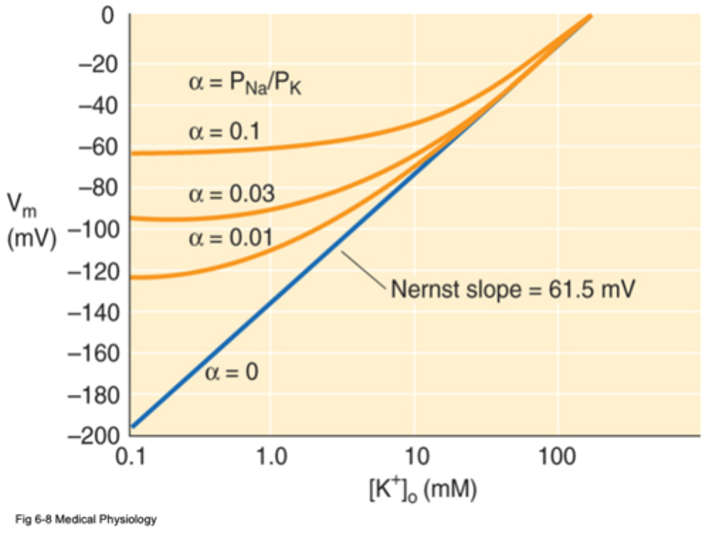 <p>What is the equilibrium potential for K+ in both neurons and glia?</p>