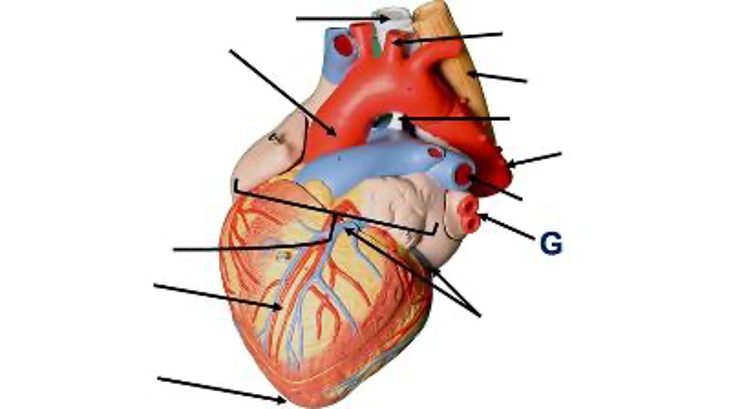 <p>What is this?</p>