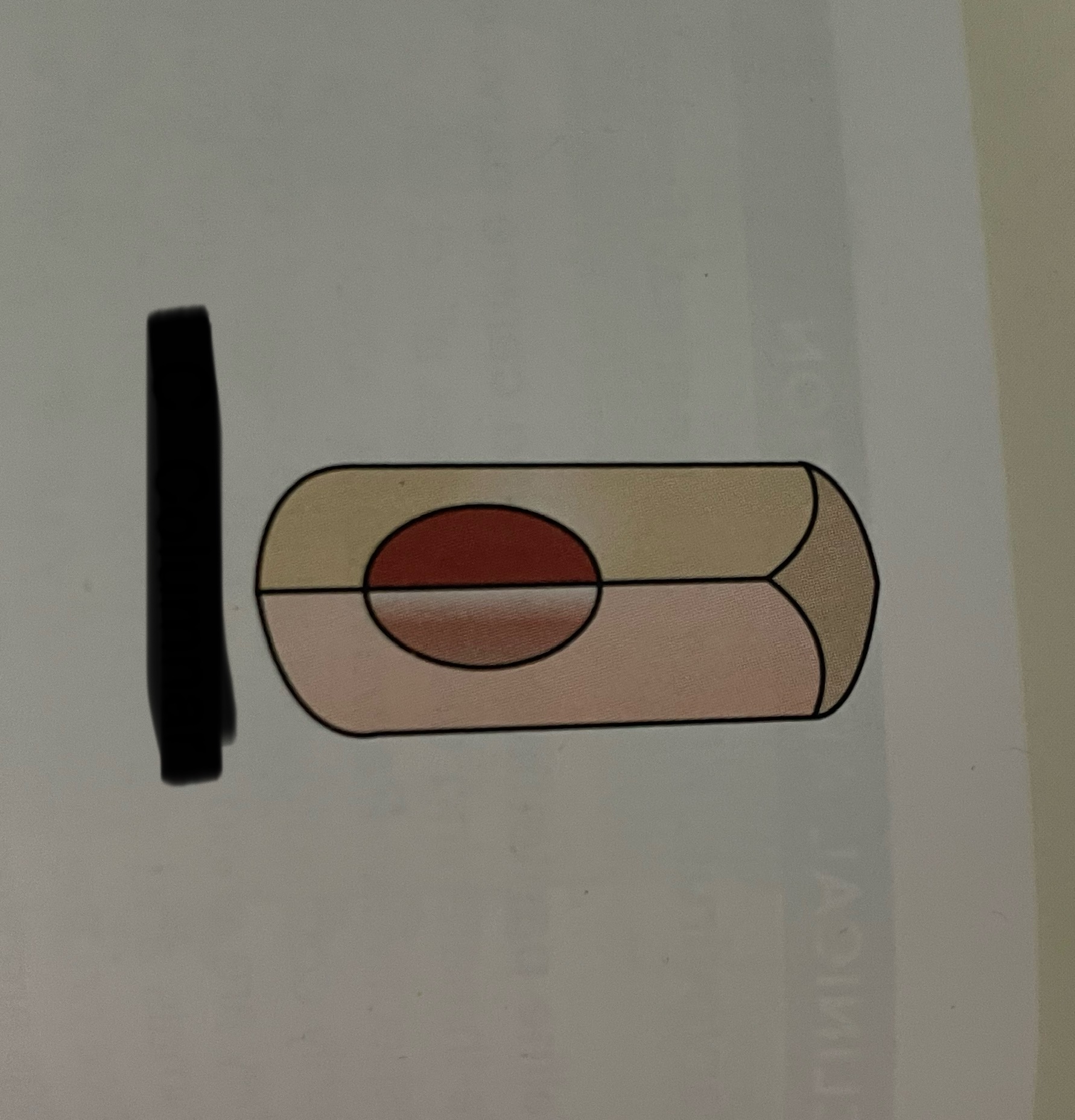 <p>which cell shapes is this?</p>