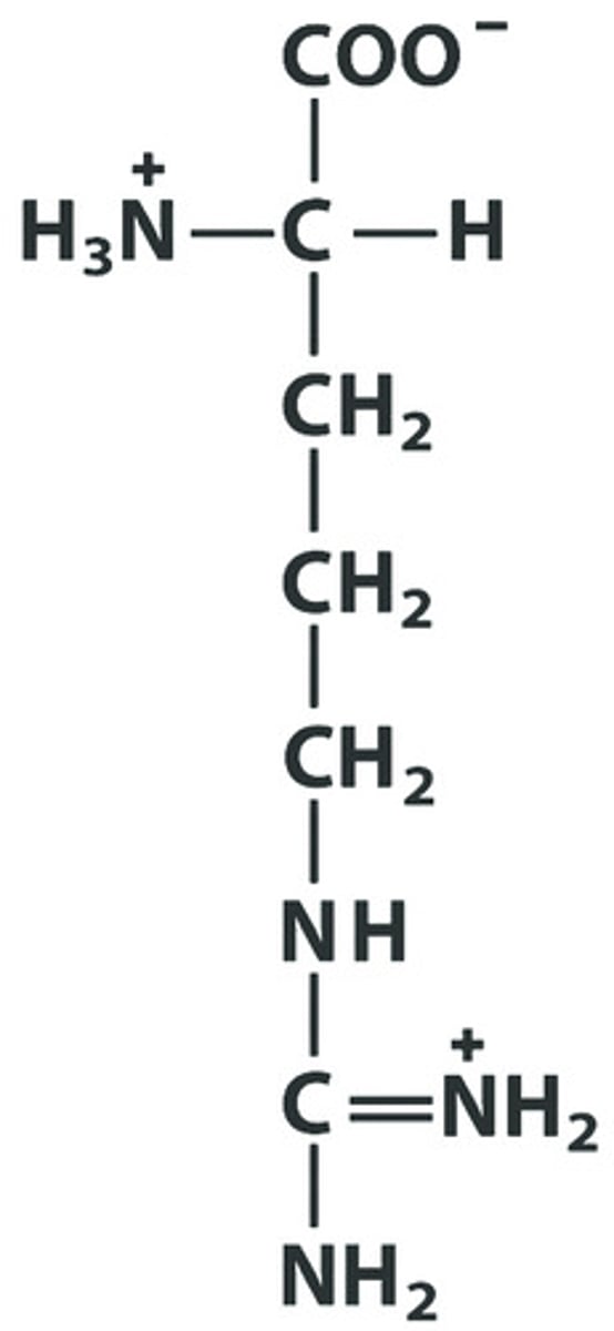 <p>Give the symbol, abbreviation, Name of this amino acid</p>