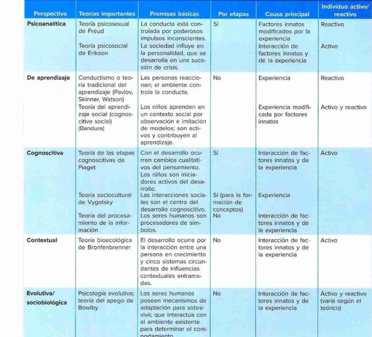 <ol><li><p>Perspectiva psicoanalítica </p></li><li><p>Perspectiva de aprendizaje</p></li><li><p>Perspectiva cognoscitiva</p></li><li><p>Perspectiva contextual</p></li><li><p>Perspectiva evolutiva/sociobiologica </p></li></ol>