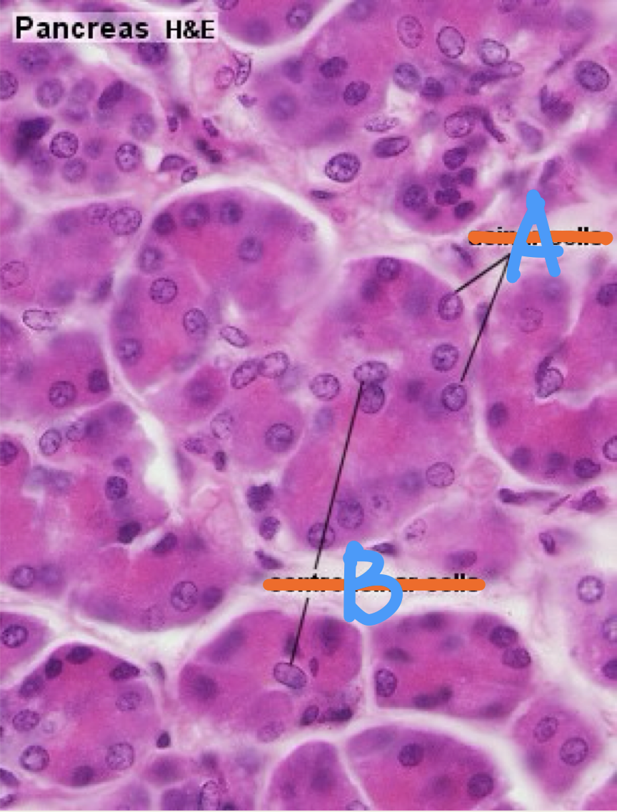 <p>Identify the structure</p>