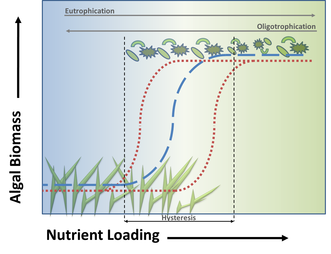 <p>Two or more distinct, non-transitory conditions that an ecosystem can exist in, even under the same external environmental conditions.</p>