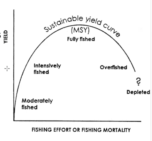 <p>The amount of fish caught that can be sustained voer indefinite period without causing depletion.</p>