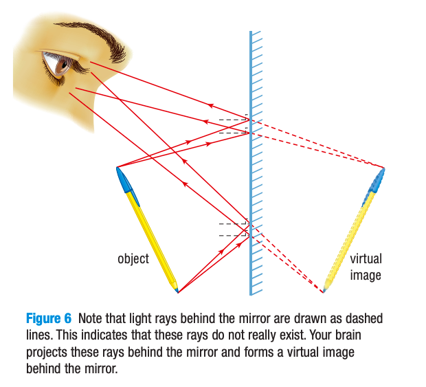 <p>When our eyes detect reflected light from a plane mirror → our brain project these light rays backwards in a straight line → our brain IMAGINES that the object is behind the mirror → we see a virtual (not real) image </p><p>This is because we believe that light rays ALWAYS travels in a straight line, </p>