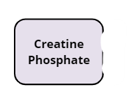 <p>Creatine Phosphate (definition)</p>