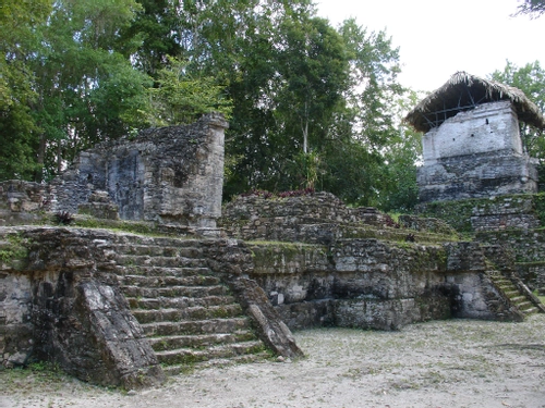 <p>Topoxte</p>