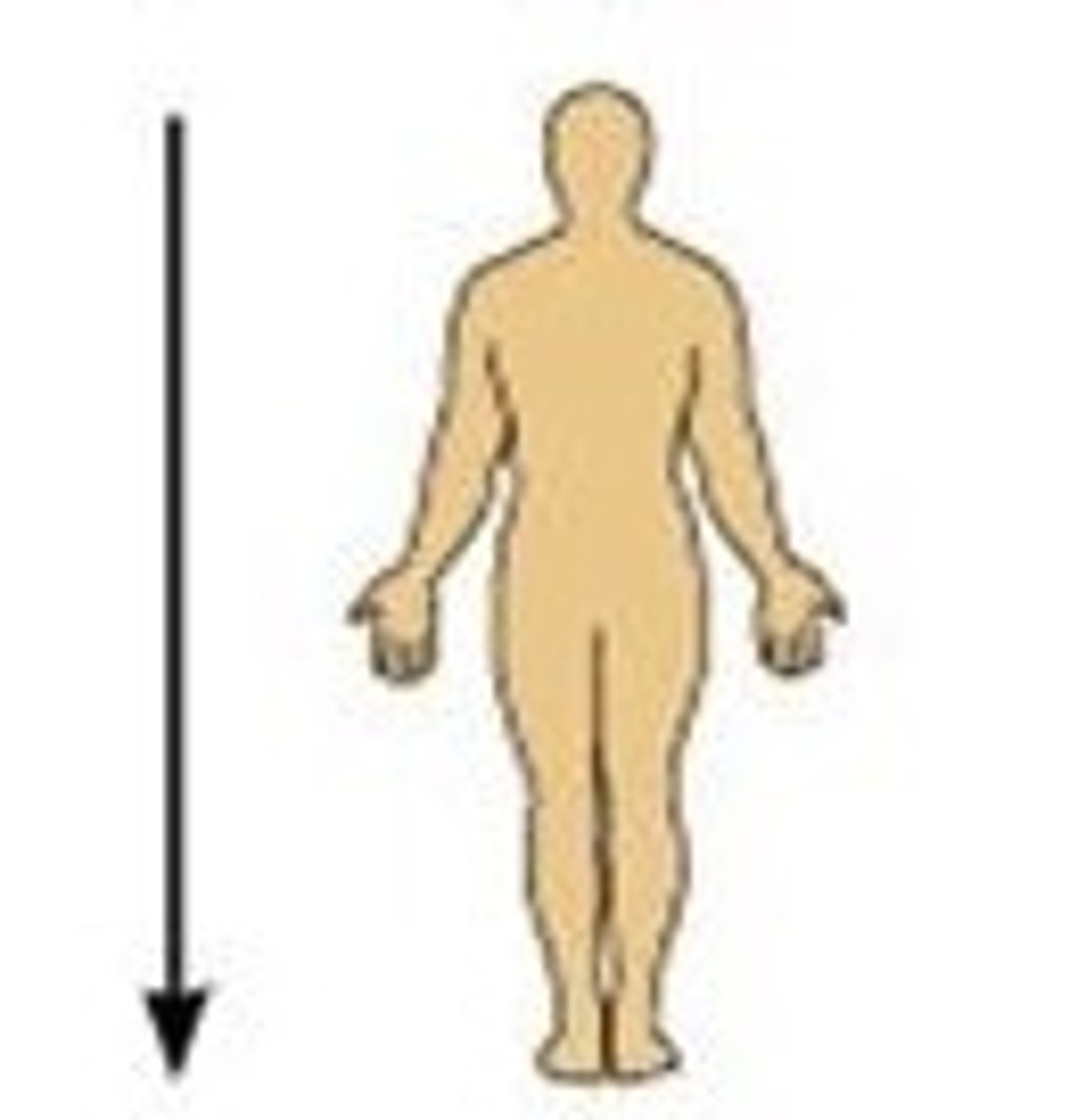 <p>Away from the head end or toward the lower part of the structure or the body; below</p>
