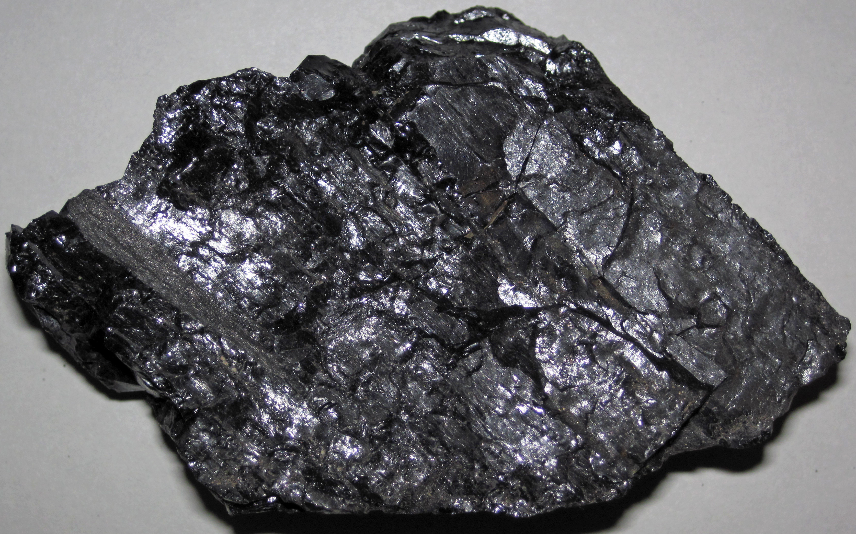<p>What enviroment does coal come from?</p>