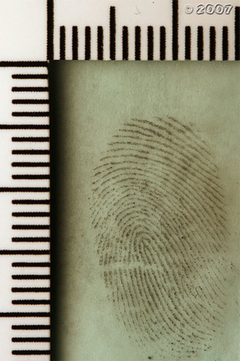 <p>Huellas Dactilares</p>