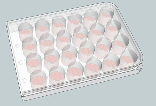 <p>Small plate with several wells; used for reacting small amounts of chemicals</p>