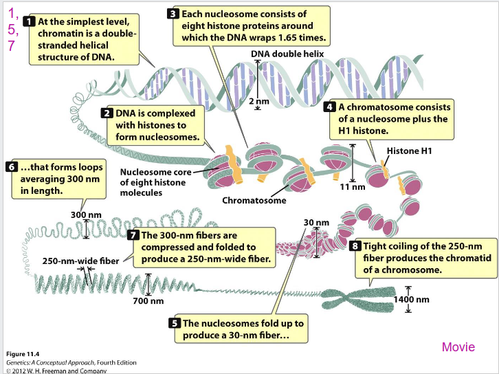 <p>SUMMARY</p>
