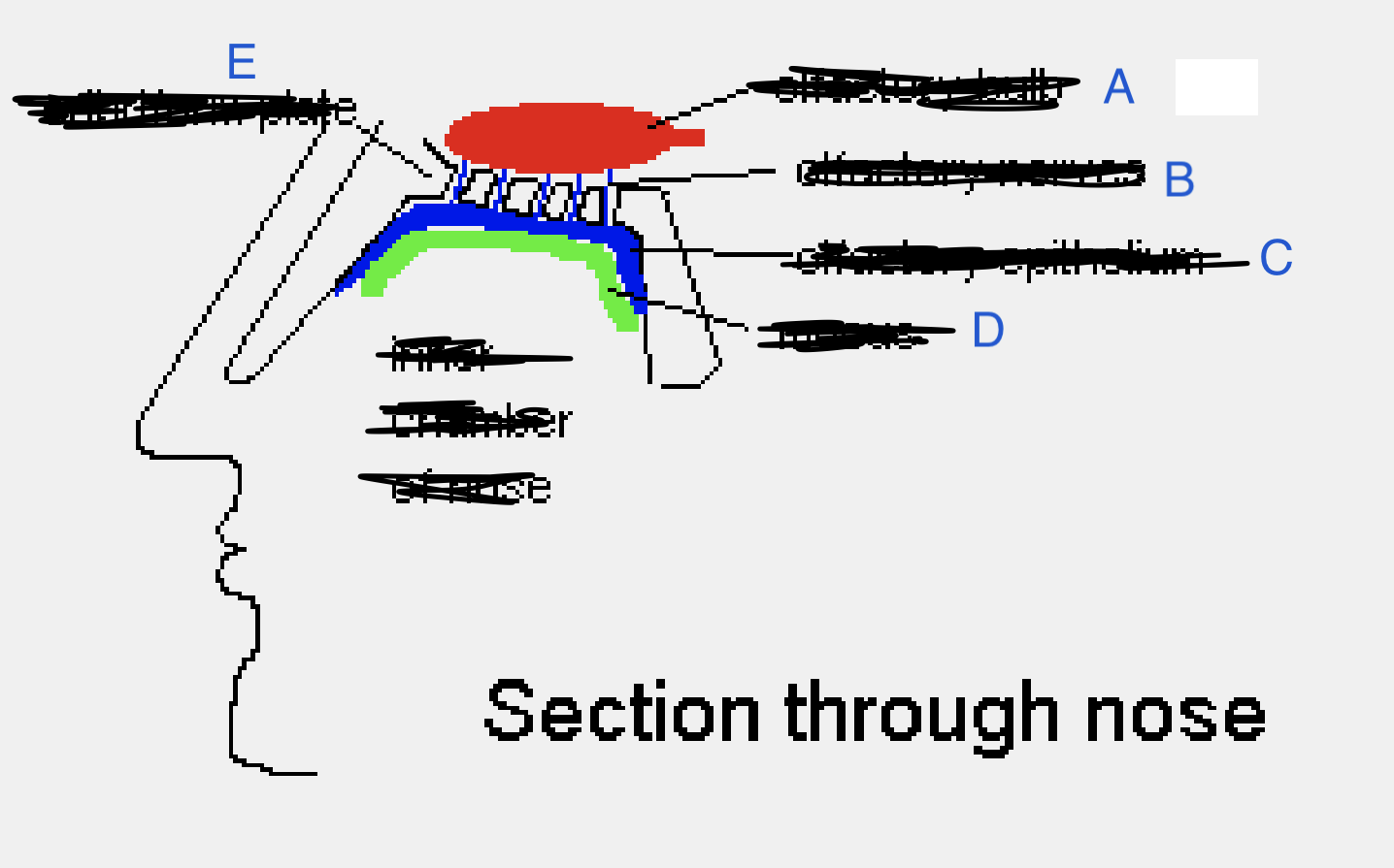 <p>Name the parts in order</p>