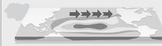 <p>Is this El Nino or La Nina</p>