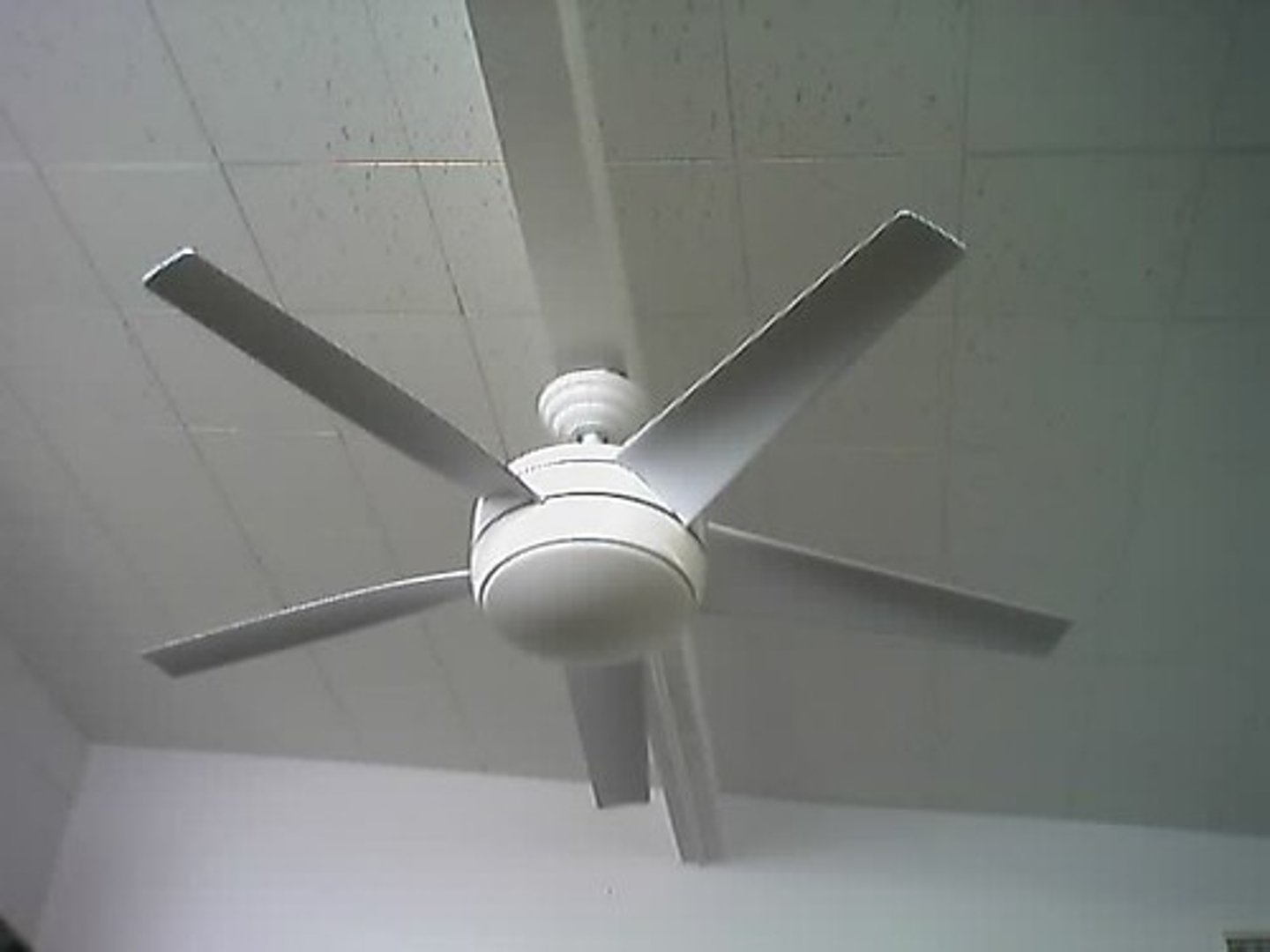 <p>Ceiling Fan</p>