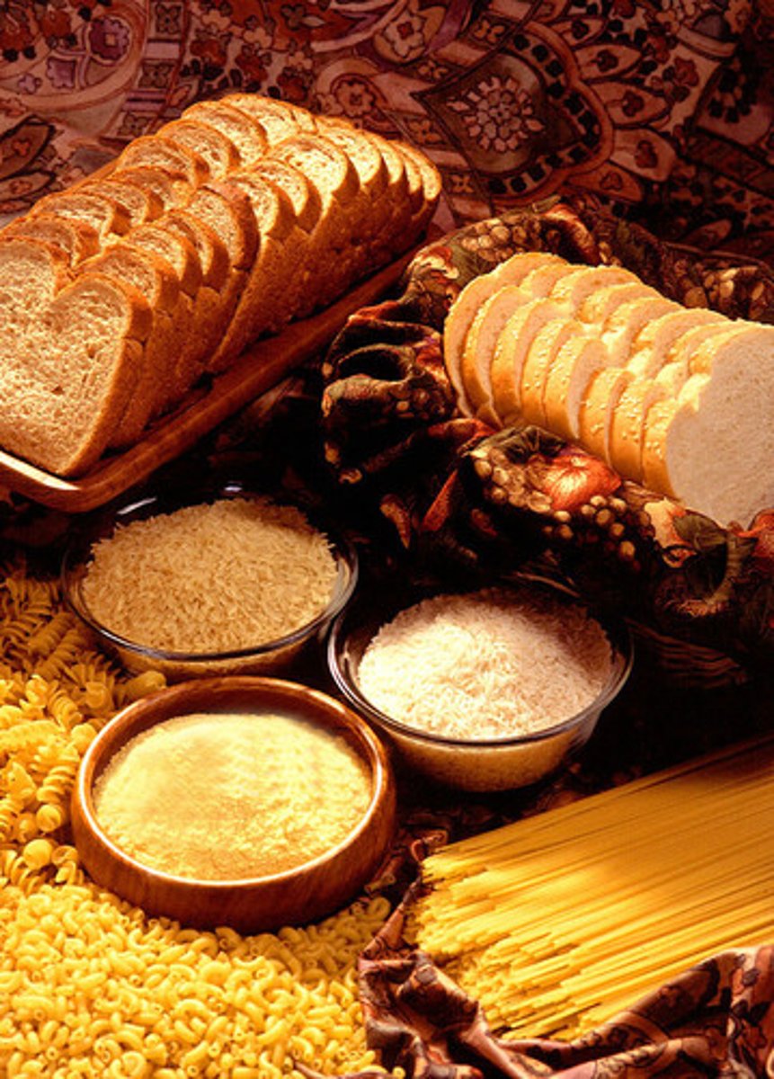 <p>A storage polysaccharide (carbohydrate) in plants consisting entirely of glucose.</p>