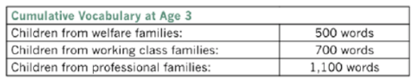 <p>Children from professional families had a cumulatiev vocabulary around double that of those from welfare families</p>